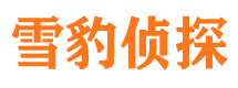 黑山外遇出轨调查取证